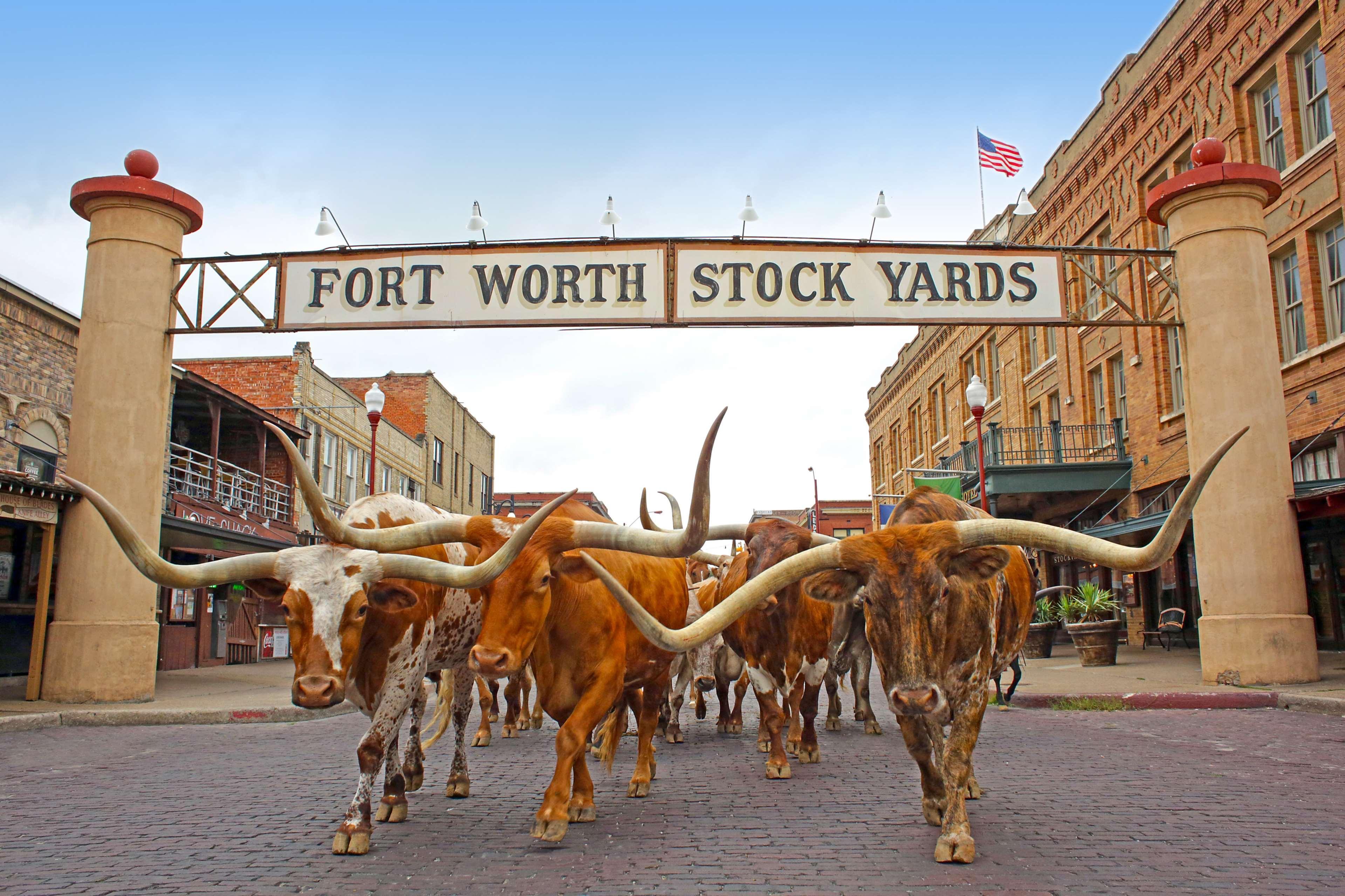 Radisson Hotel Fort Worth North-Fossil Creek 외부 사진